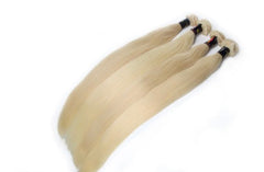Raw Platinum Blonde Hair